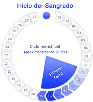 cómo embarazarse rápido